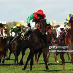 salinger stakes bet on